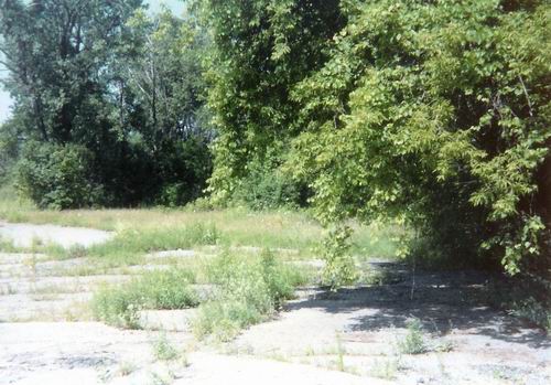 Pontiac Drive-In Theatre - 1994 Lot From Greg Mcglone (newer photo)